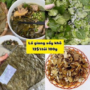 La Giang Say Kho Anvat Orlandor